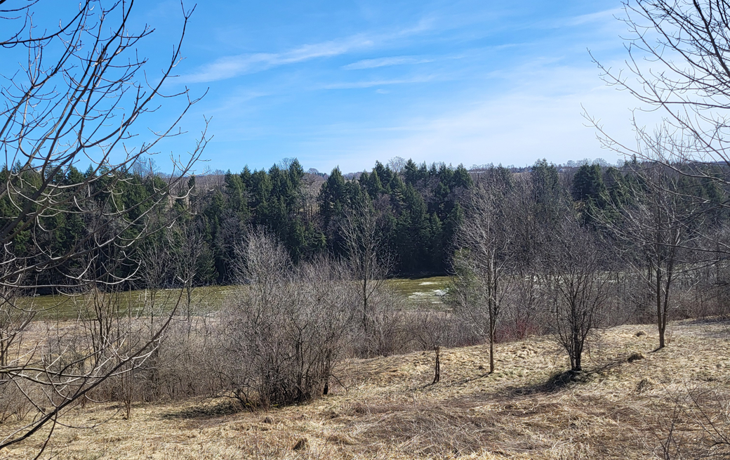 Total Solar Eclipse Viewing Site