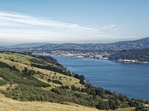 Otago Harbour and Dunedin